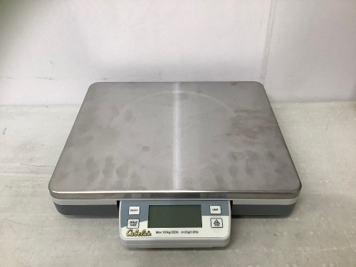 Digital Platform Scale, Powers Up, E-Comm Return - Lot 279