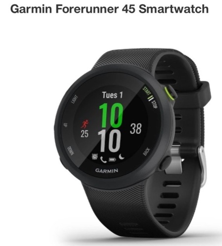 Garmin, Forerunner 45 Smartwatch, $169.99 - Lot 90