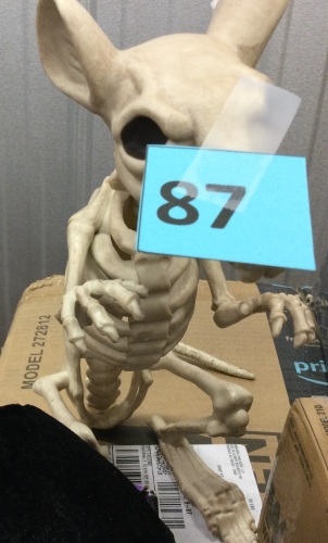 Halloween Decoration, Skeleton - Lot 87
