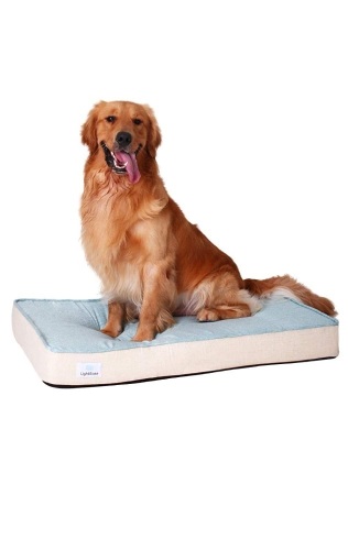 LightEase Memory Foam Orthopedic Pet Bed, Medium 34" x 22" x 4" - NEW - Lot 676