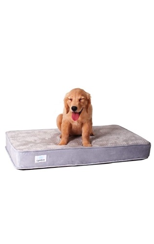 LightEase Memory Foam Orthopedic Pet Bed, Medium 34" x 22" x 4" - NEW - Lot 762