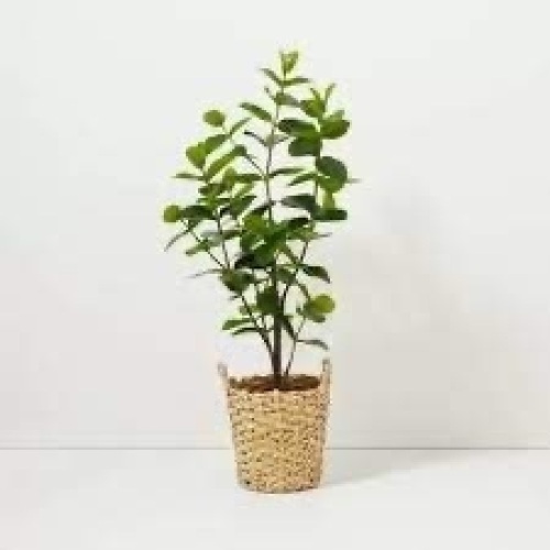 Hearth & Hand With Magnolia Artificial Plant - Lot 3035