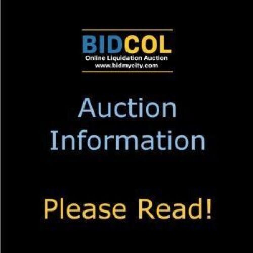 AUCTION INFORMATION - PLEASE READ! - Lot 1