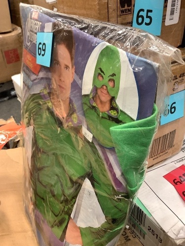 Halloween, Hulk Costume, Appears New - Lot 69