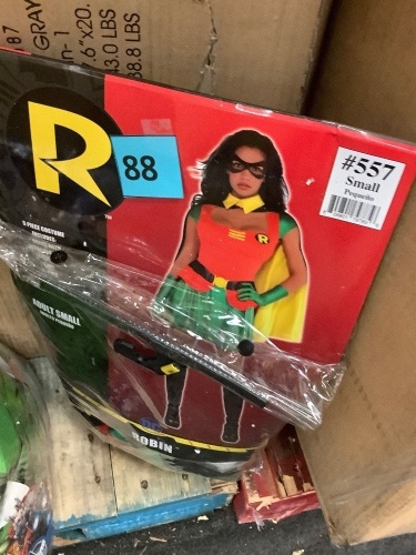 Halloween Costume, Robin, Small - Lot 88