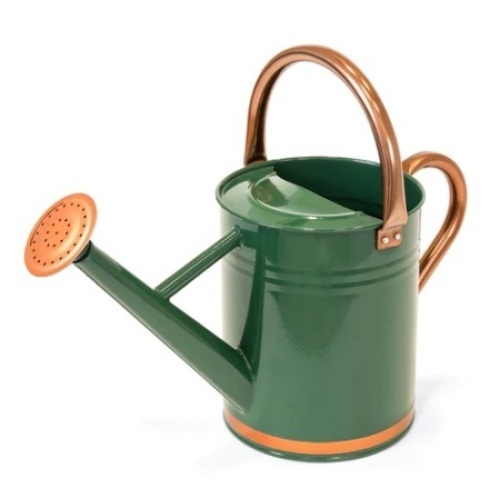 1-Gallon Galvanized Steel Watering Can w/ O-Ring, Top Handle, Green - Lot 99