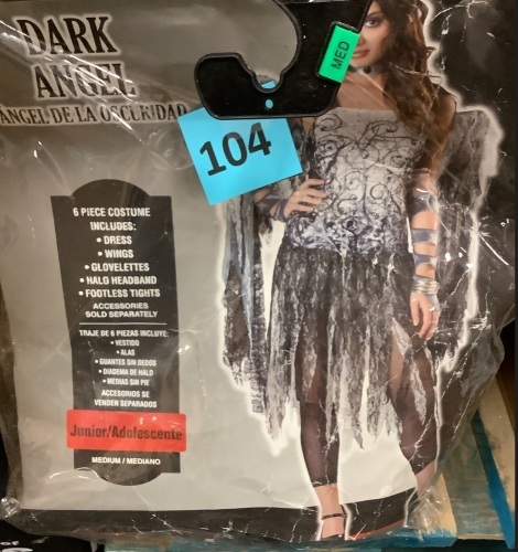 Dark Angel Costume, 6 Piece - Dress/Wings/Glovelettes/Halo Headband/Footless Tights, Junior Medium - Lot 104