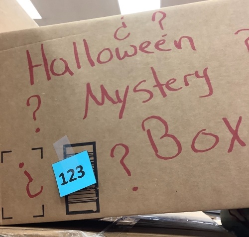Halloween Mystery Box - Lot 123