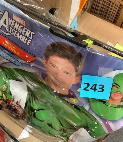 Marvel Avengers Hulk Hoodie, Adult S/M - Lot 243