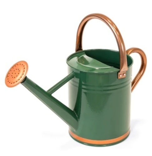 1-Gallon Galvanized Steel Watering Can w/ O-Ring, Top Handle, Green - Lot 350
