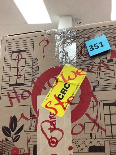 Halloween Mystery Box - Lot 351