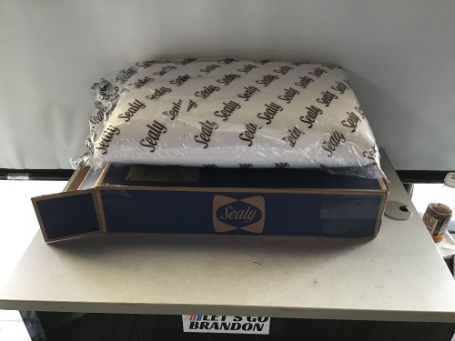 Sealy, White, Pillow, Like New, Retail - $40.37 - Lot 171