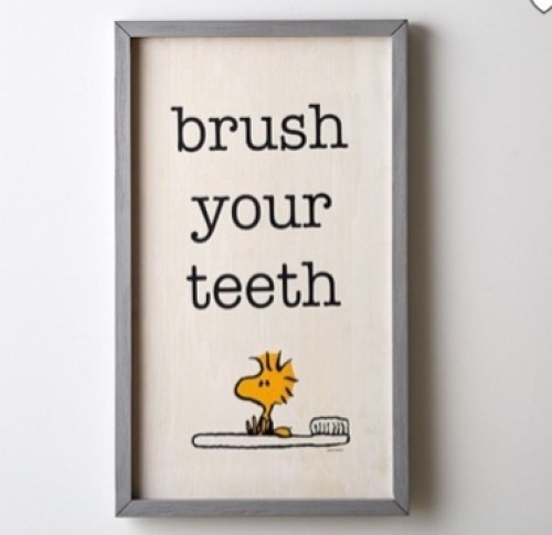 Pottery Barn,Peanuts® Bathroom Art Brush Your Teeth, Like New, Retail - $74.99 - Lot 303