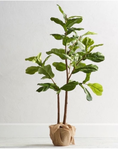Pottery Barn, Faux Potted Fiddle Leaf Fig Tree, Medium - 5.4ft, Like New, Retail - $249 - Lot 266