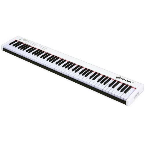 88-Key Portable Digital Piano with Bluetooth - Lot 1112