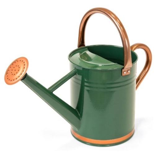 1-Gallon Galvanized Steel Watering Can w/ O-Ring, Top Handle - Lot 181