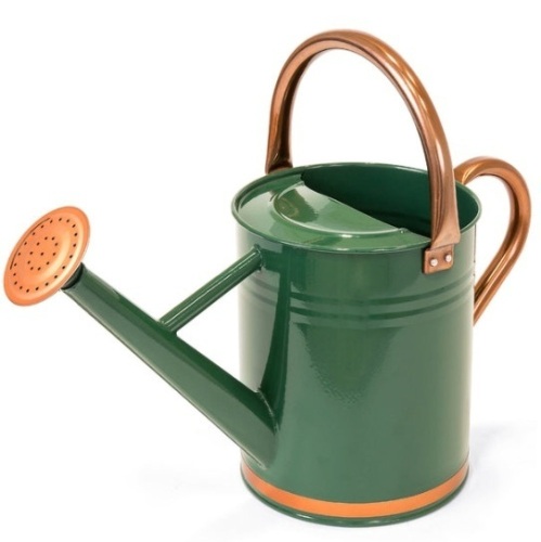 1-Gallon Galvanized Steel Watering Can w/ O-Ring, Top Handle - Lot 233