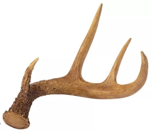 Lot of 2 Antler Decor, E-Commerce Return, Some Chips - Lot 356