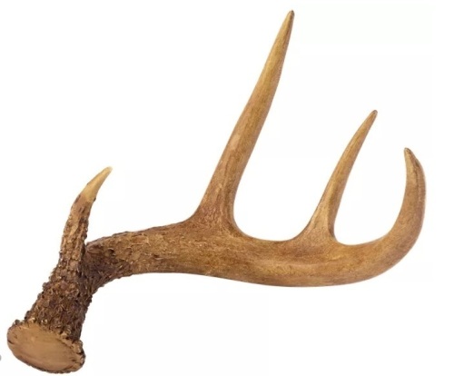 Lot of 2 Polyresin Antler Decor, E-Commerce Return, Some Chips - Lot 383