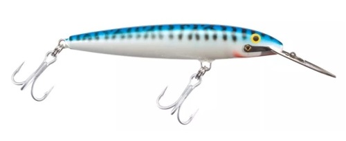 Rapala CountDown Magnum Crankbait - 9" - Silver Mackerel, E-Commerce Return - Lot 433