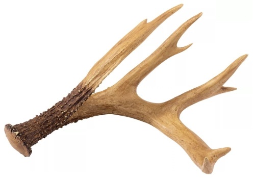 Lot of 2 Large Polyresin Antler Decor, E-Commerce Return - Lot 503