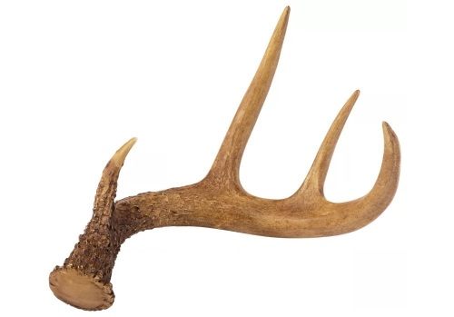 Lot of 2 Polyresin Antler Decor, E-Commerce Return - Lot 703