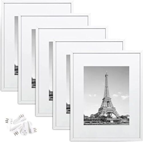 Set of (5) 16"x20" Picture Frames - Lot 741