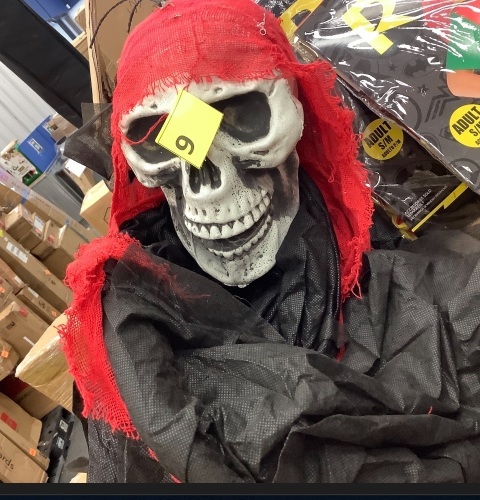 Halloween Decoration - Lot 9