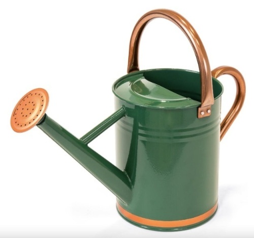 1-Gallon Galvanized Steel Watering Can w/ O-Ring, Top Handle - Lot 395