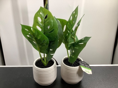 Lot of (2) Faux Plant, Appears New - Lot 188