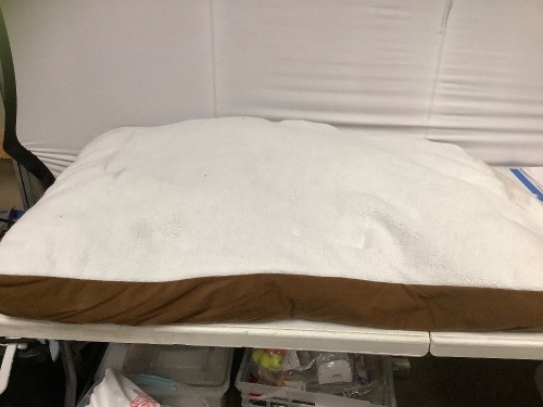40"x26" Dog Bed - Lot 154