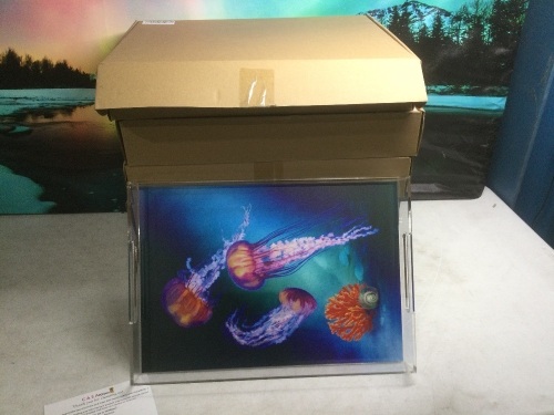 Lot of (6) Clear Acrylic Serving Trays, Jellyfish Design, 12" x 17" - New - Lot 860