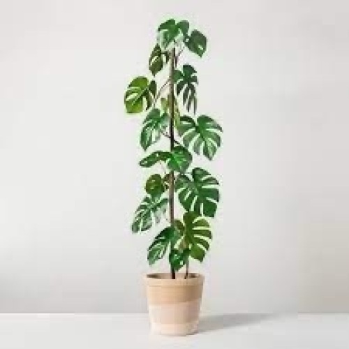 38.5" Faux Monstera Potted Plant - Lot 3414