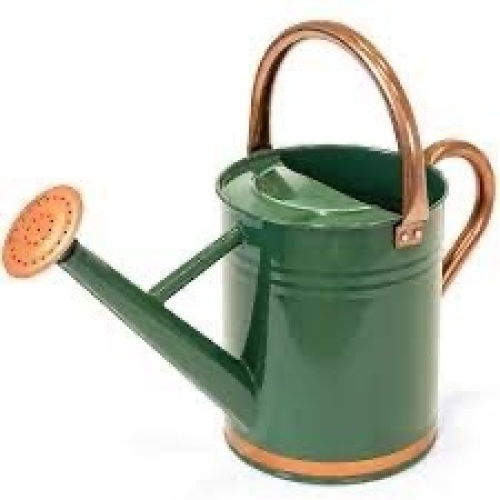 1-Gallon Galvanized Steel Watering Can w/ O-Ring, Top Handle - Lot 3866