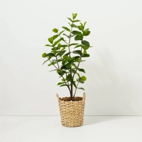 Hearth & Hand With Magnolia Artificial Plant Autograph Leaf 40in Tall - Lot 3985