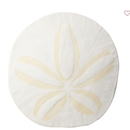 Oversized Sand Dollar Wall Art, 30"W, Like New, retail - $149 - Lot 62