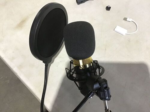 BM-800 Microphone - Lot 1064