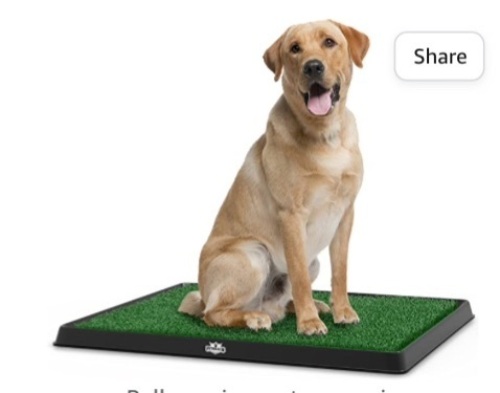 Artificial Grass Puppy Pad for Dogs and Small Pets - 20x25-Inch Reusable Training Potty Pad with Tray - Dog Housebreaking Supplies byPETMAKER, Like New, Retail - $34.95 - Lot 169