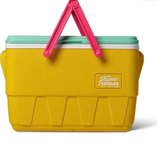Igloo Special Edition , 25 Quart, Full Size Picnic Cooler, Like New, Retail - $54.99 - Lot 258
