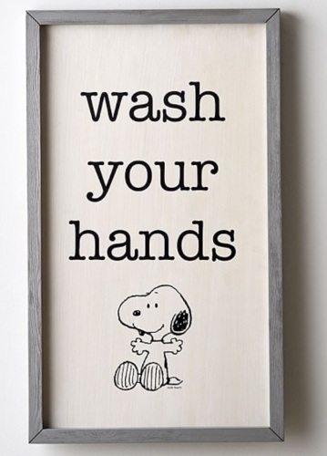 Peanuts® Bathroom Art, Like New, Retail - $99 - Lot 303