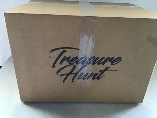 Treasure Hunt Mystery Box - Lot 307