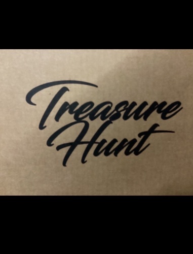 Tresure Hunt Mystery Box - Lot 338