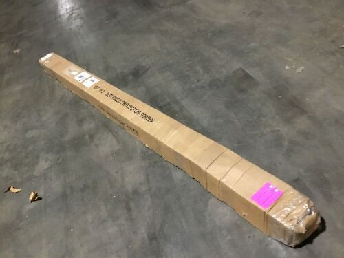 100" Motorized Projector Screen  - Lot 449
