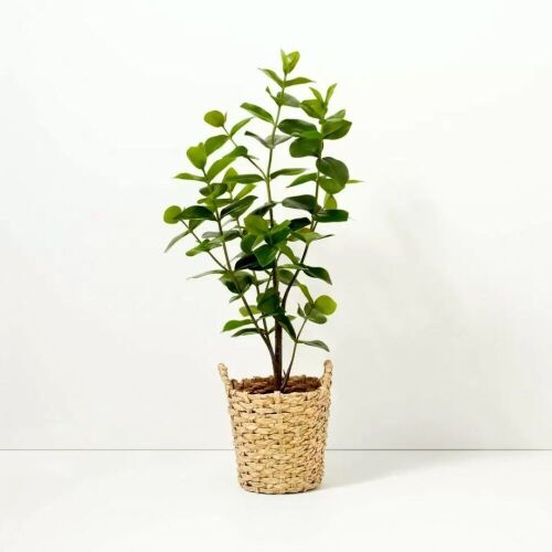 40" Faux Autograph Tree in Planter - Lot 752