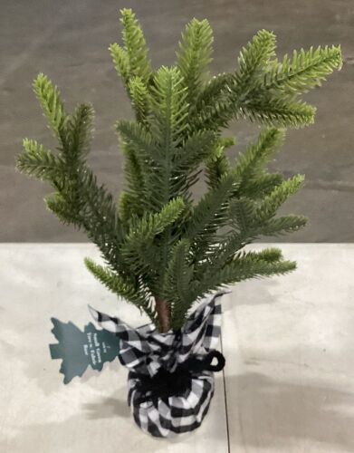 Lot of (16) Small Green Trees with Fabric Base - Lot 807