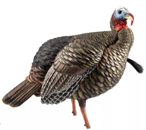 Avian-X HDR Jake Turkey Decoy, E-Commerce Return - Lot 18