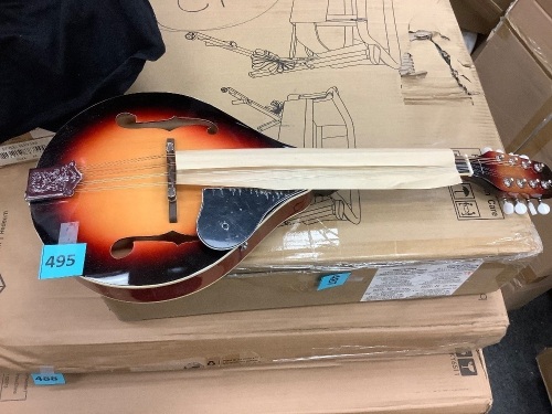 Stringed Instrument - Lot 495