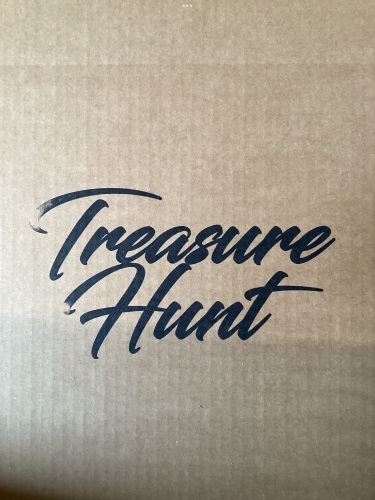 Treasure Hunt Mystery Box - Lot 275