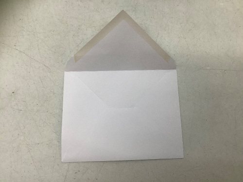 Staples Gummed Envelopes 4.375x5.75, E-Comm Return - Lot 535