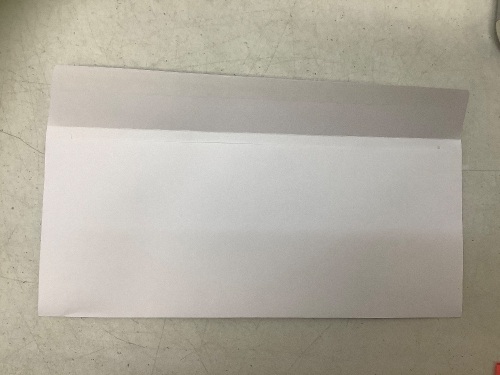 Staples Easy Close Envelopes 3.875x8.875, E-Comm Return - Lot 541
